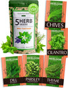15 Culinary Herb Seeds Vault - Heirloom & Non GMO (2X More) 4900+ Seeds for Planting Indoor or Outdoor Herbs Garden | Gardening Gift for Men Women - Basil, Cilantro, Chives, Lavender, Mint, Thyme