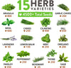 15 Culinary Herb Seeds Vault - Heirloom & Non GMO (2X More) 4900+ Seeds for Planting Indoor or Outdoor Herbs Garden | Gardening Gift for Men Women - Basil, Cilantro, Chives, Lavender, Mint, Thyme