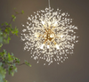 Splendid LED Chandelier