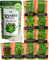 15 Culinary Herb Seeds Vault - Heirloom & Non GMO (2X More) 4900+ Seeds for Planting Indoor or Outdoor Herbs Garden | Gardening Gift for Men Women - Basil, Cilantro, Chives, Lavender, Mint, Thyme
