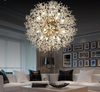 Splendid LED Chandelier