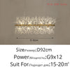 Splendid LED Chandelier